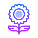Icon 1